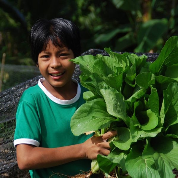 A young person at TCDF's Forest School Academy picks vegetables on the organic farm.