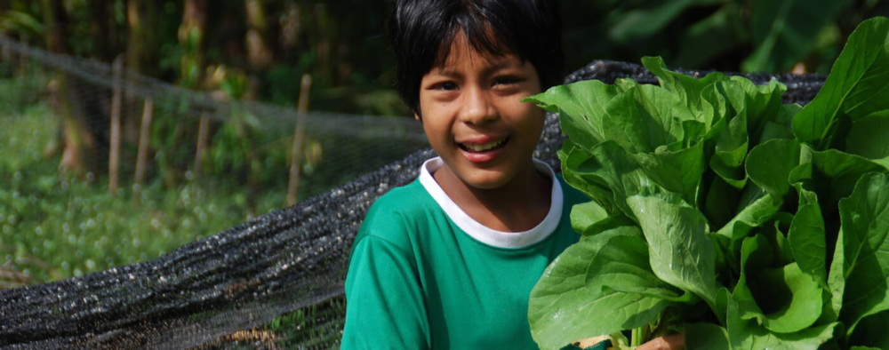 A young person at TCDF's Forest School Academy picks vegetables on the organic farm.